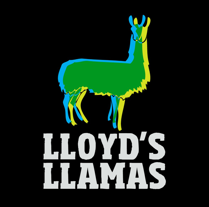 header Lloyd's Llamas