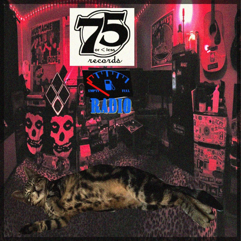 roadkill 3d mom son 75orLess | 75ORLESS RECORDS